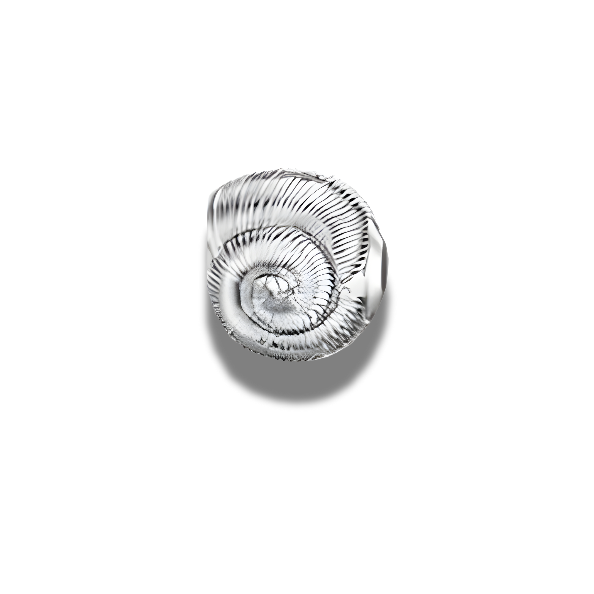 Sea Shell Charm, 925 Sterling Silver Conch Charm For Bracelet