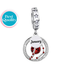 January Birthstone Charm